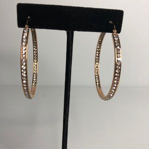 Rose gold stainless steel hoop earrings